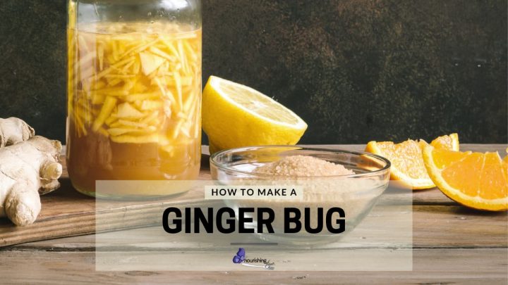 DIY Ginger Bug with lemons and orange wedges
