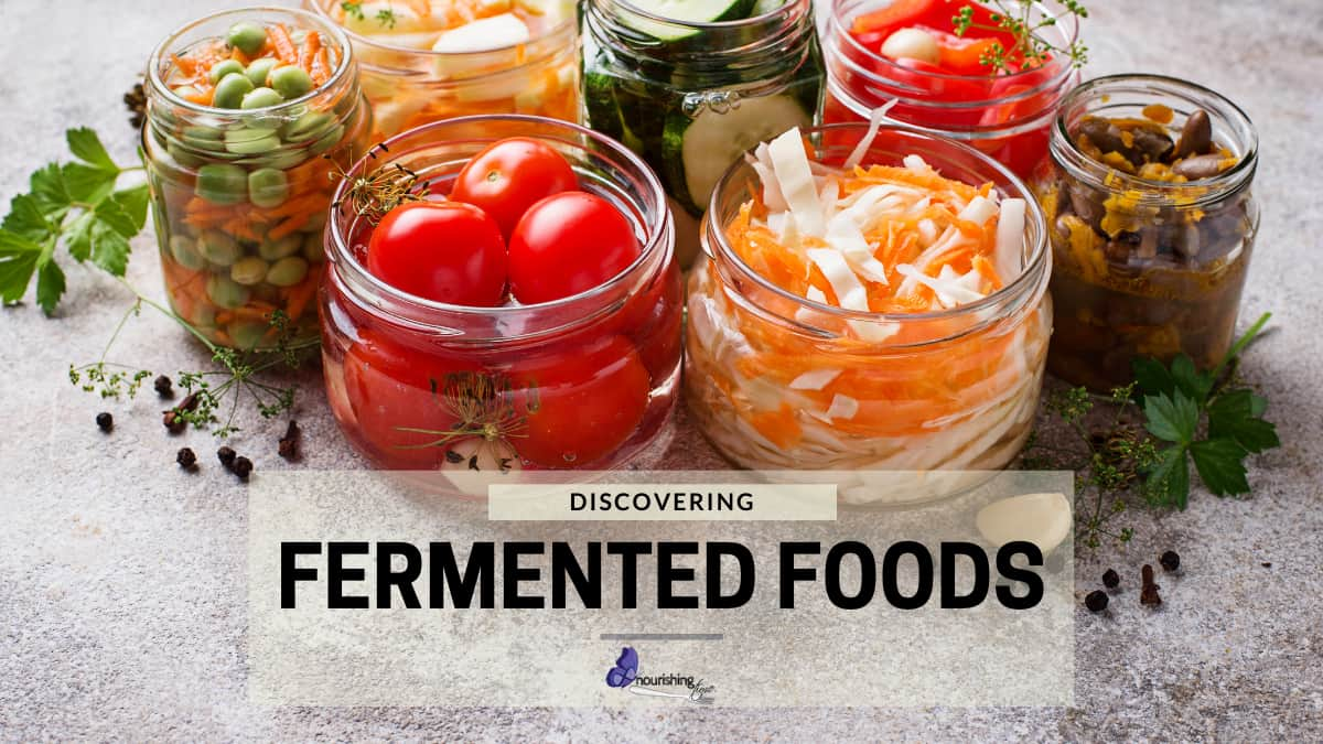 Fermented Food Discovery