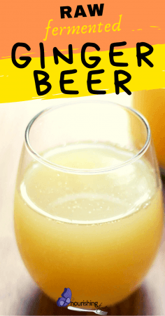 Ginger Beer Recipe