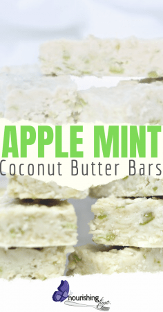 No Bake Apple Mint Coconut Butter Bars