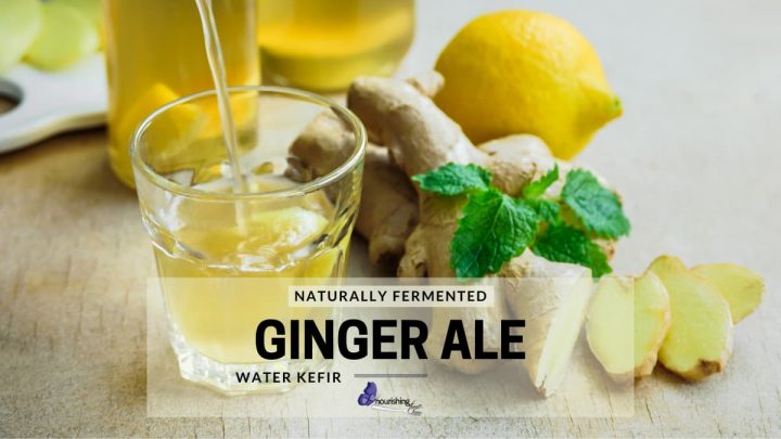 Ginger Ale Water Kefir
