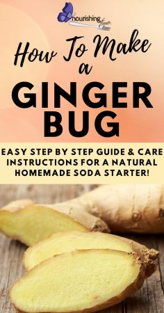 How To Make A Ginger Bug Pin