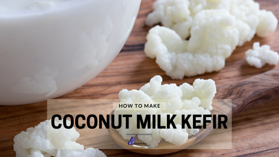 How To Make Coconut Milk Kefir With Kefir Grains