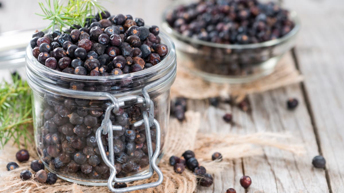 how to prepare juniper berries for consumption
