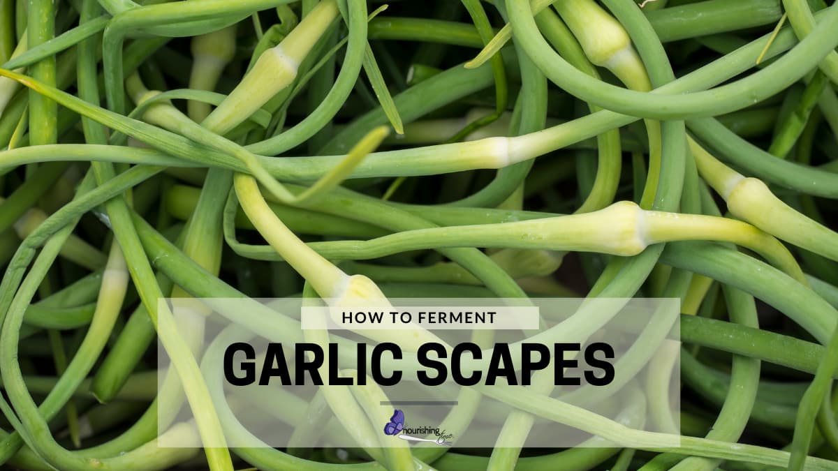 Fresh Garlic Scapes To Ferment