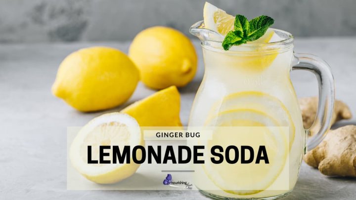 Ginger Bug Lemonade In Pitcher With Fresh Lemons & Ginger Surrounding It
